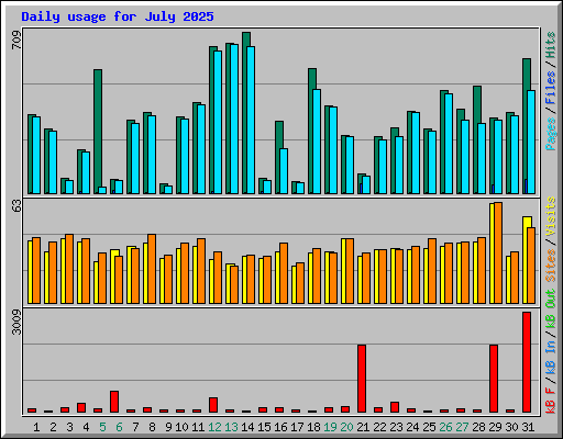 Daily usage for July 2025