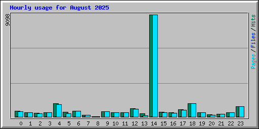 Hourly usage for August 2025