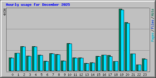 Hourly usage for December 2025