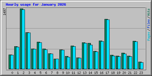 Hourly usage for January 2026
