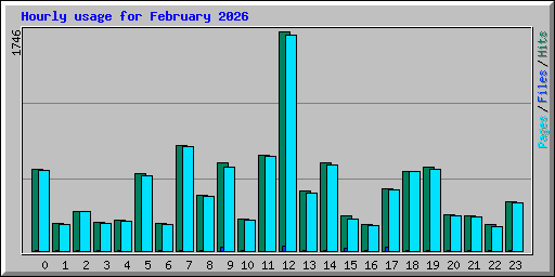 Hourly usage for February 2026